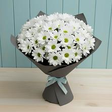 Букет цветов из:  Хризантемы в Дядьковской