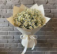 Букет цветов из:  Ромашки #REPLACE_PRED# Дядьковской