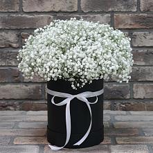 Цветочная композиция из Гипсофила в шляпной коробке в Дядьковской