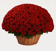 Премиум букет из: Розы в Дядьковской